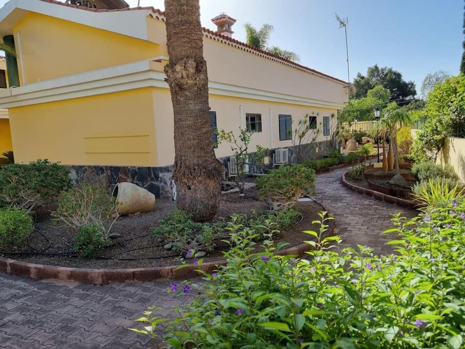 Golf Court Maspalomas (Gran Canaria)